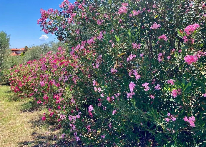 Xenius Zeus In 公寓 克里皮吉