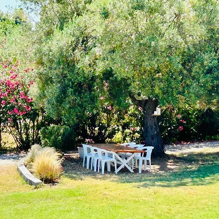 Xenius Zeus Apartments In Kriopigi